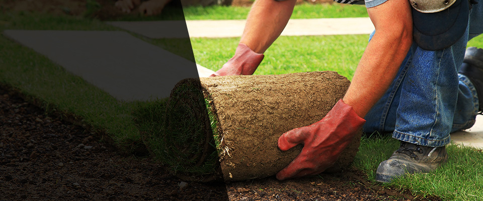 Black River Falls Landscapers